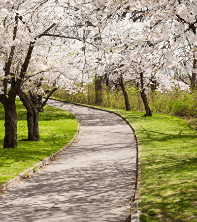 Spring Deal